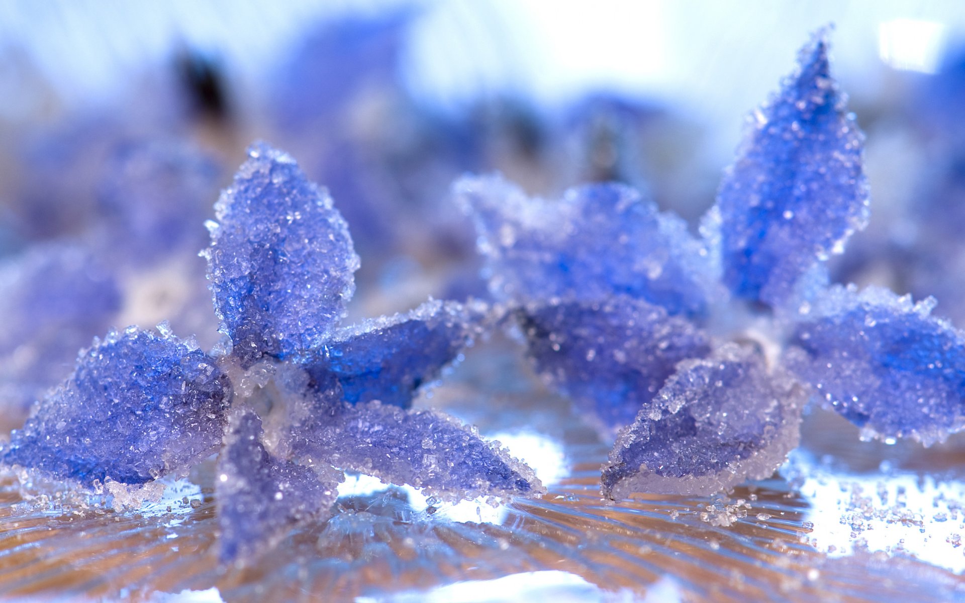 close up crystals next frost petals water