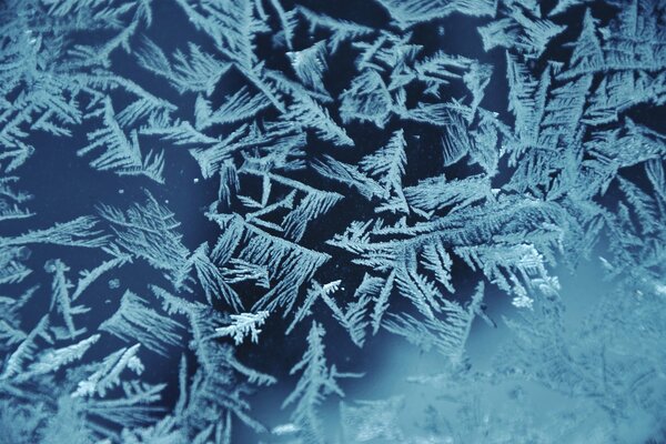 Frostiges Muster auf Fensterscheibe