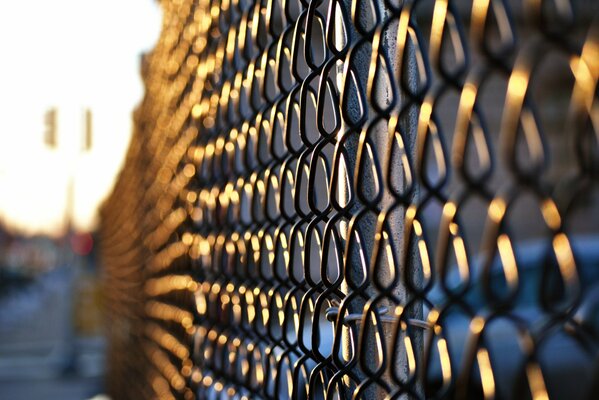 Mesh fence in the sun