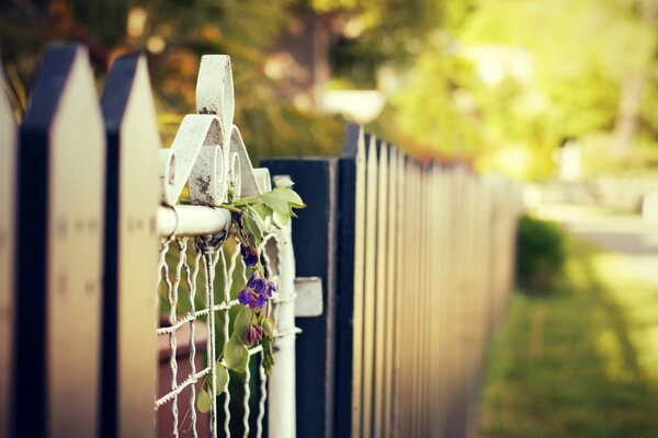 Wooden fence with iron gate