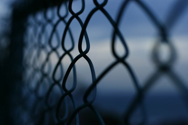 Twilight through the network of fences