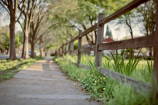 Cute sidewalk with trees and a fence
