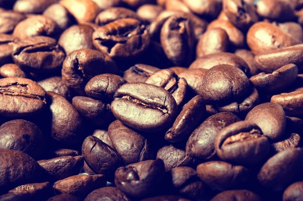 Gros plan de prise de vue de plusieurs grains de café