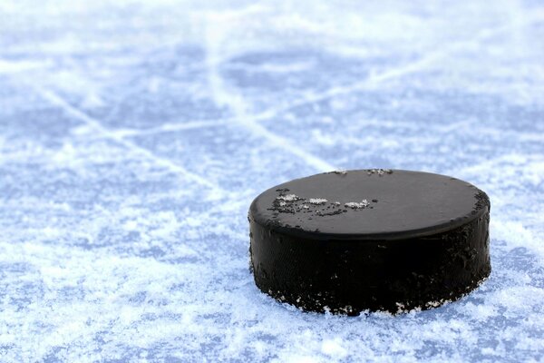 Black puck on blue ice