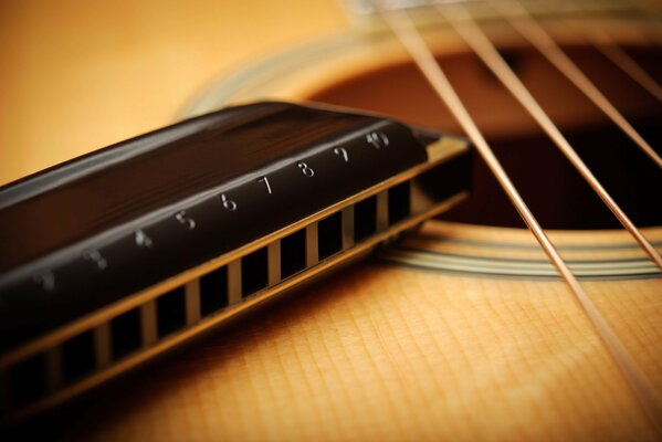 Armónica y cuerdas de guitarra en macro