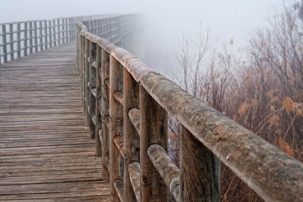 Puente de madera barandilla niebla otoño naturaleza paisaje