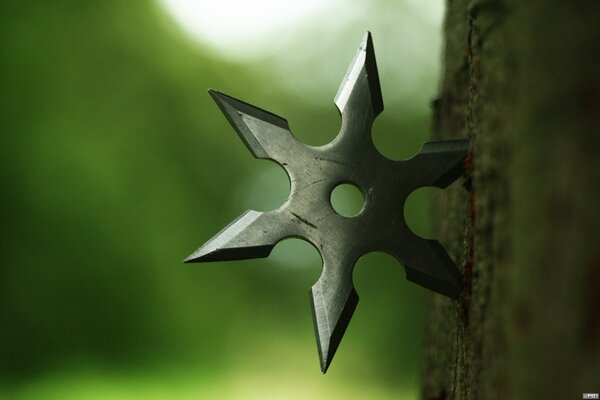 Metal shuriken in wood