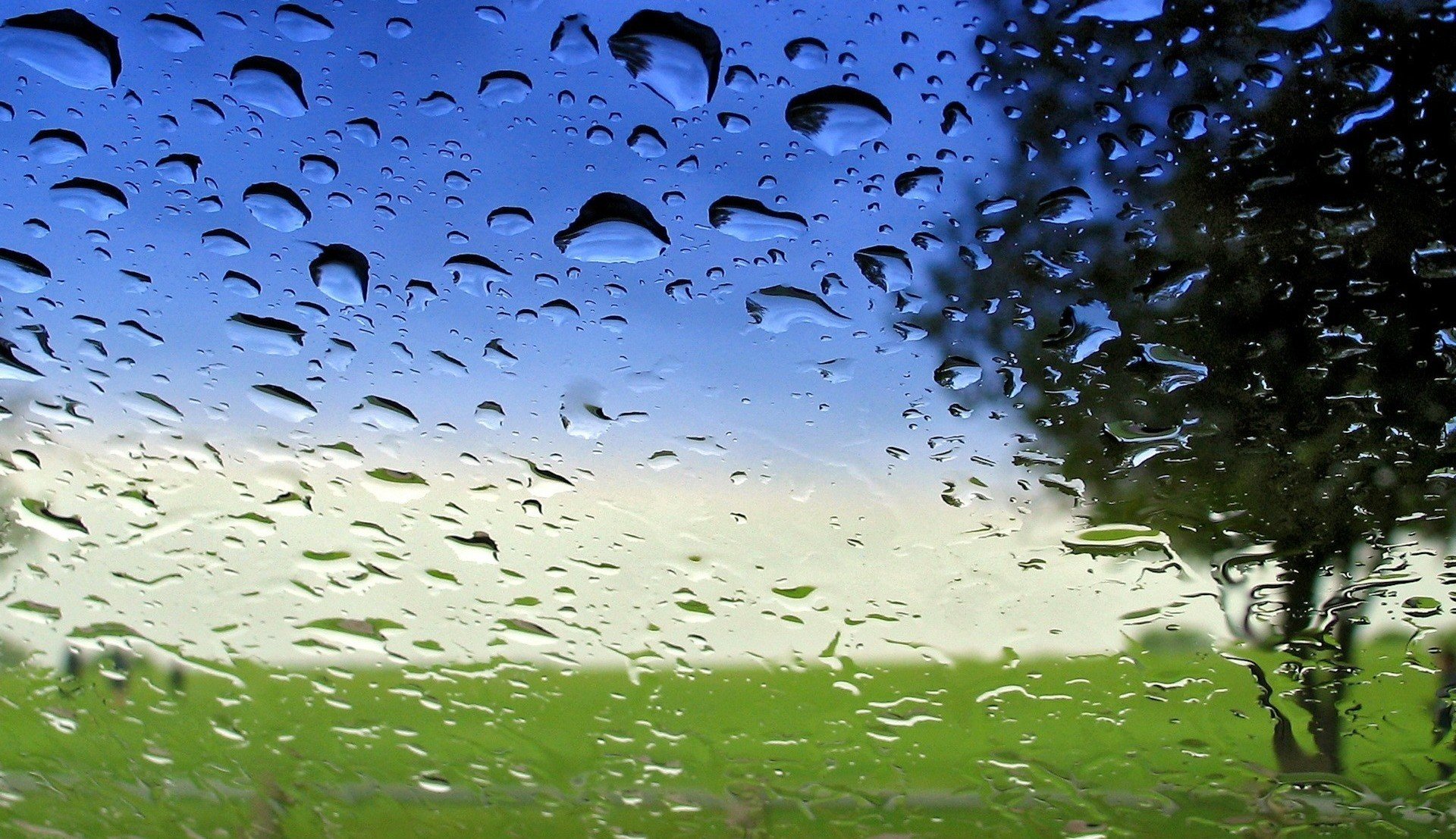 dopo la pioggia vetro acqua gocce trasparenza macro