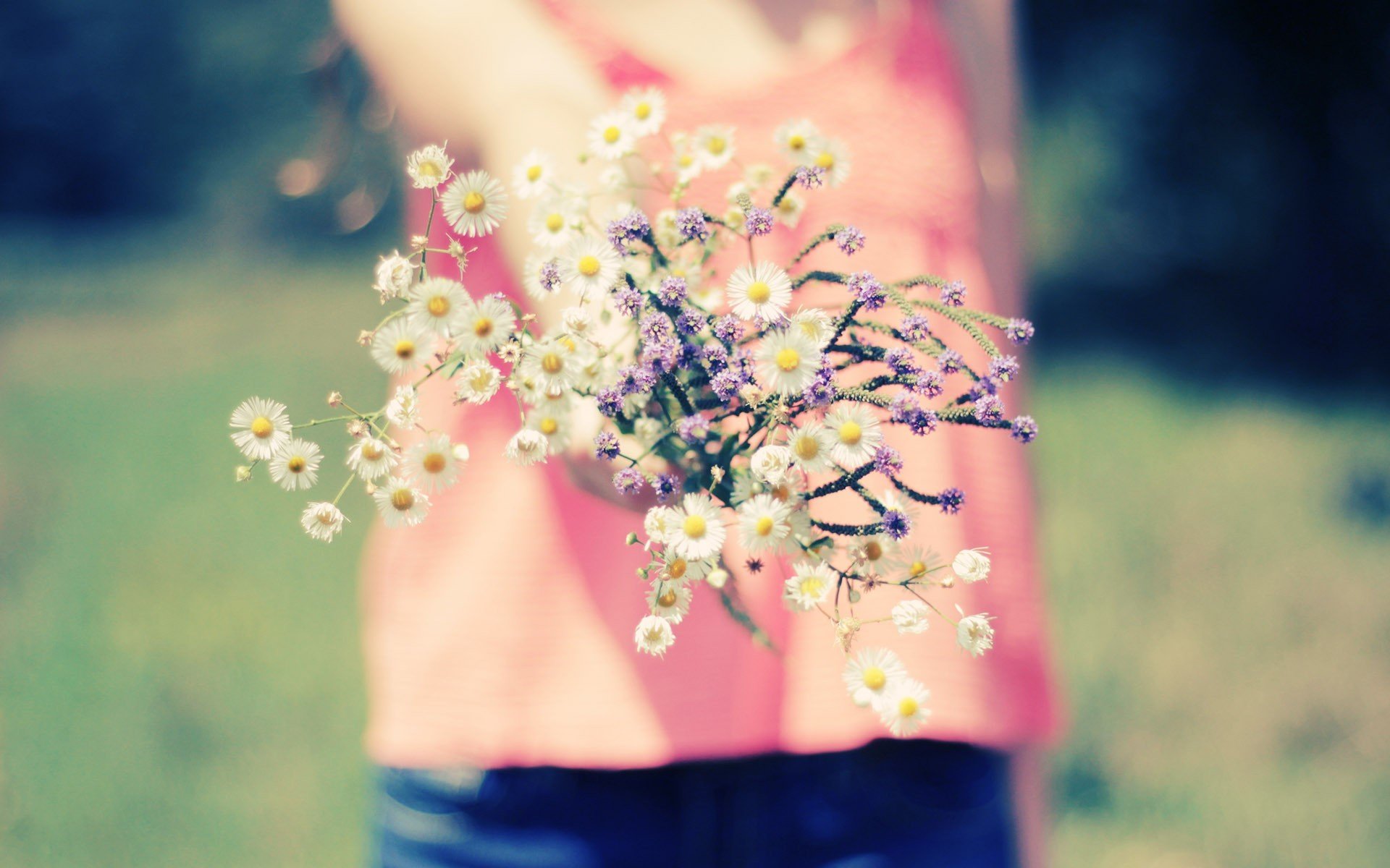 gros plan fleurs fleurs. fille fille flou nature fond fond d écran plein écran