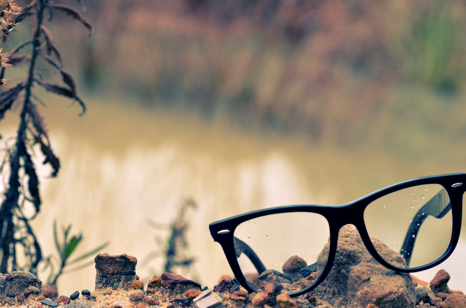 lunettes lentilles cailloux herbe rosée