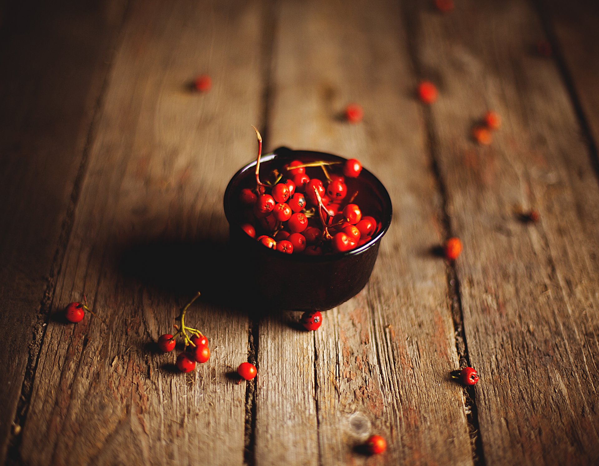 rowan berries board