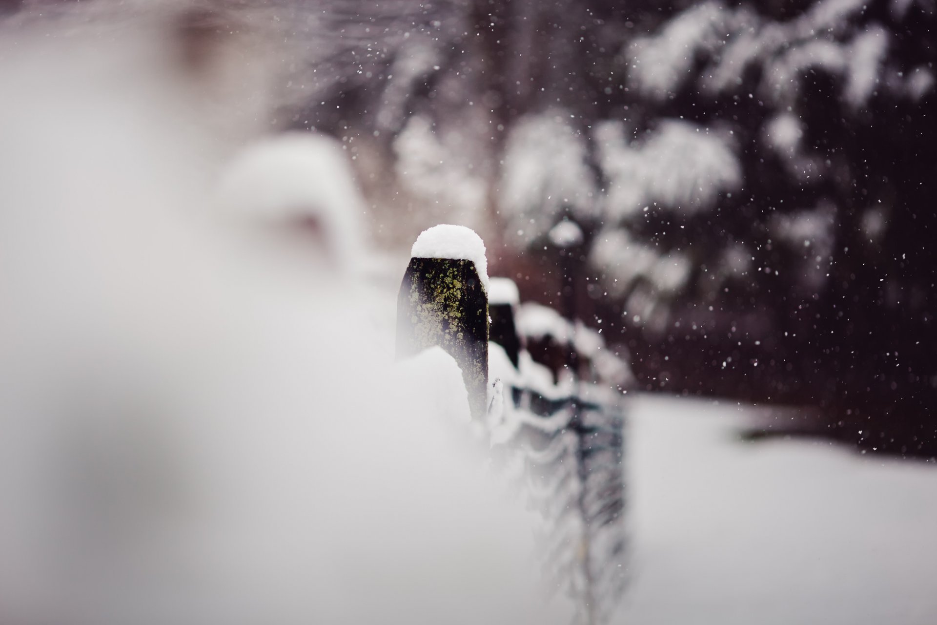 close up winter fence snow