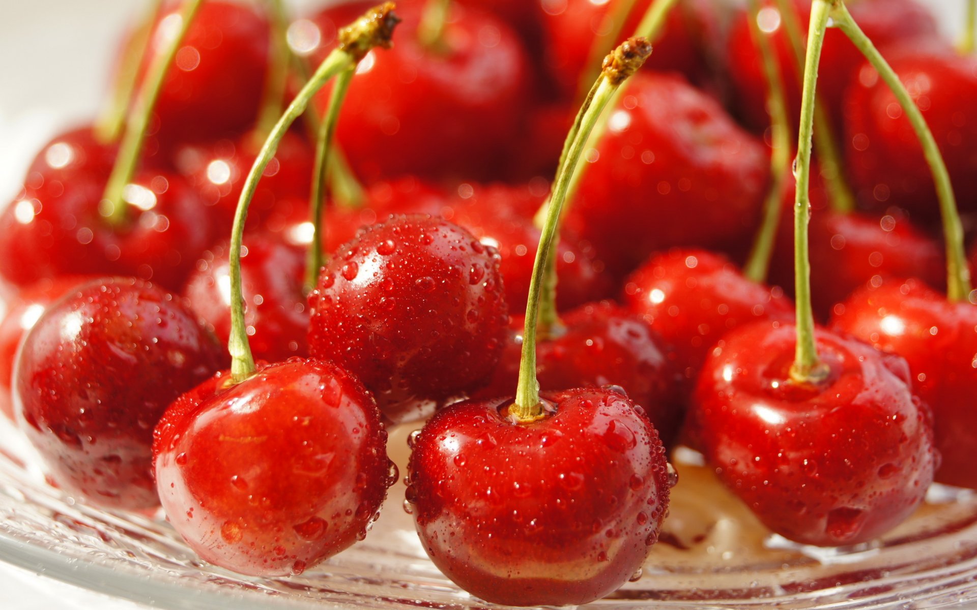 cerezas macro fondo