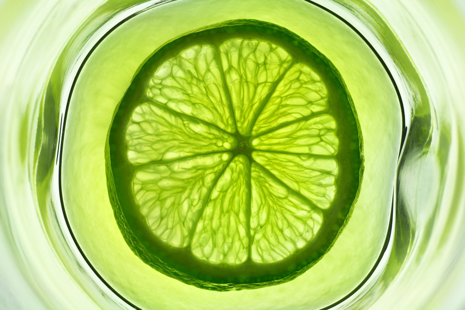 lima cítricos fruta verde vaso agua