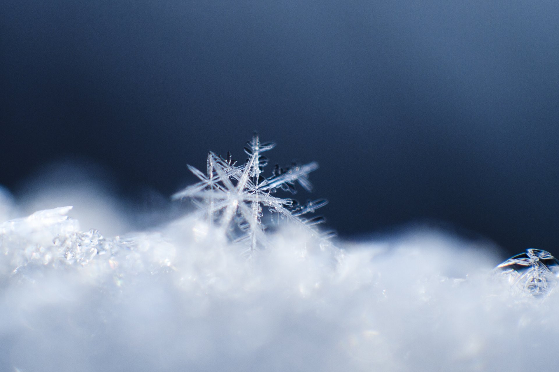 neve fiocco di neve macro cristallo modello