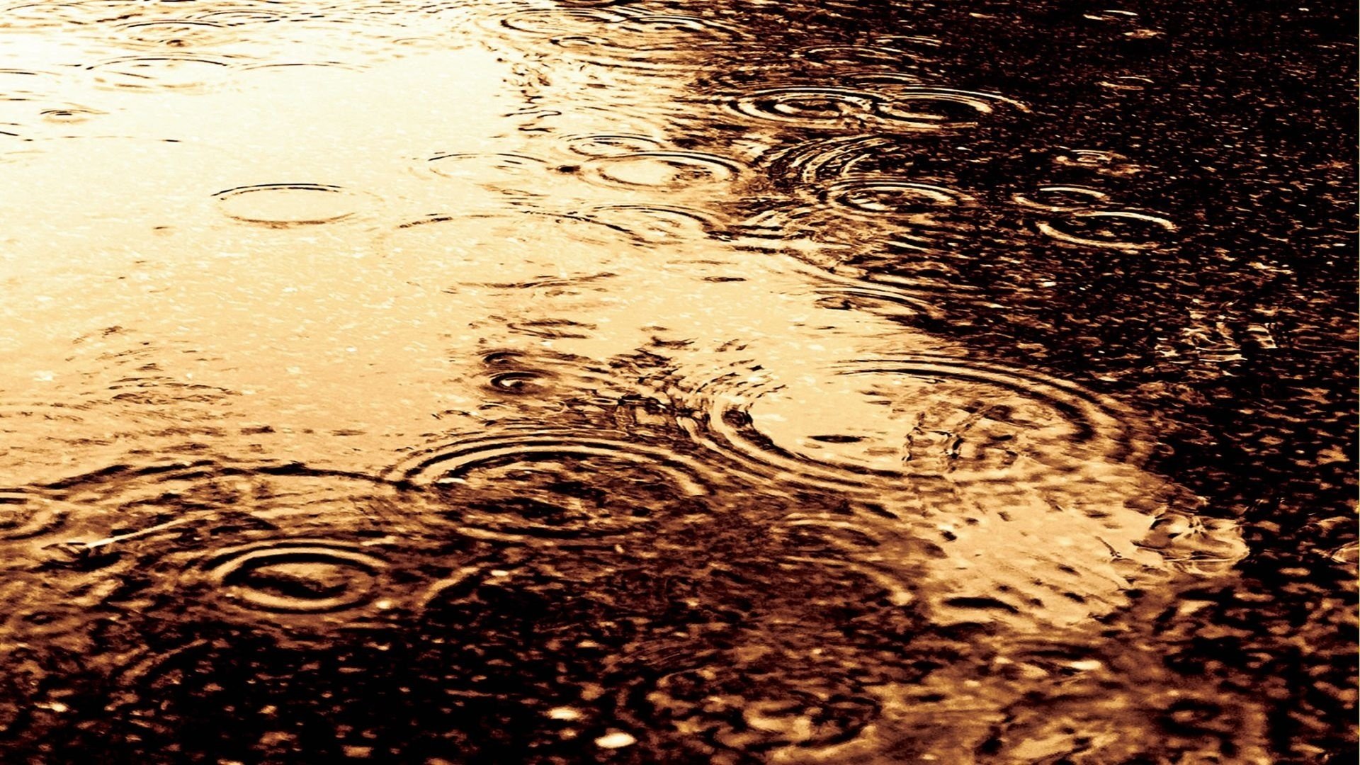 rain water drops following divorce