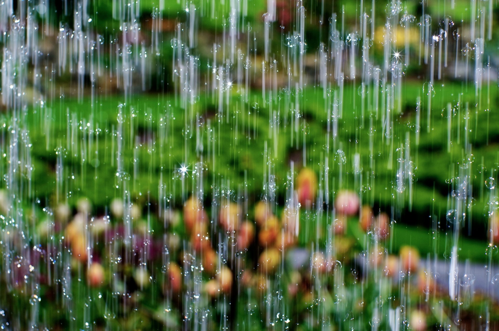 macro gocce pioggia cascata