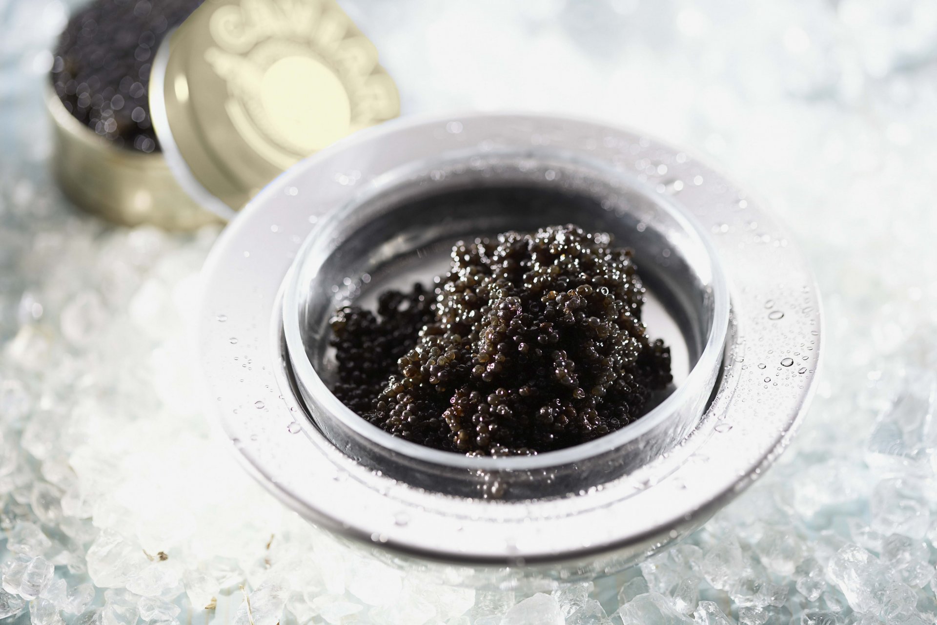 macro caviar negro caviar hielo delicioso yum-yum