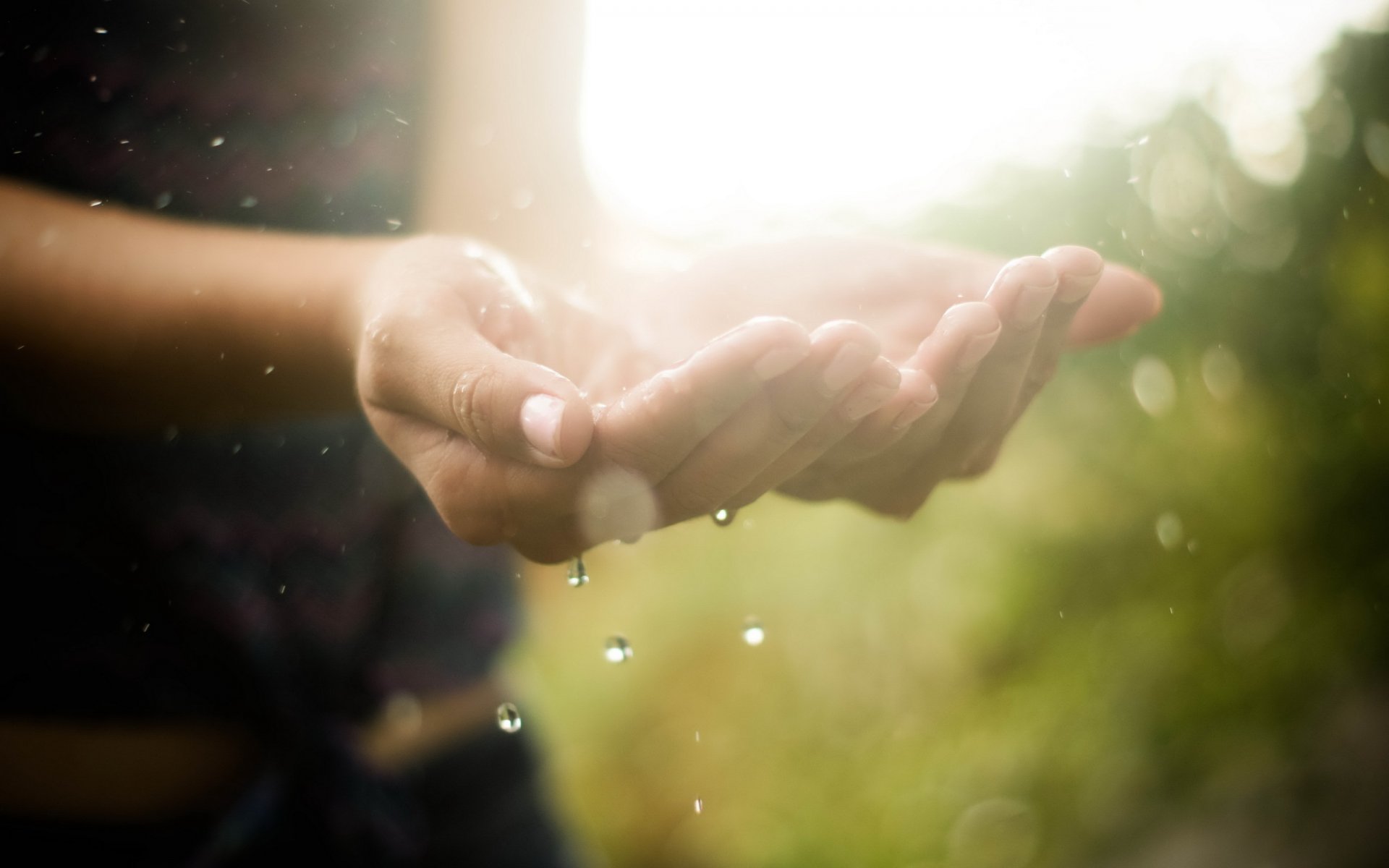 hände wasser tropfen licht makro