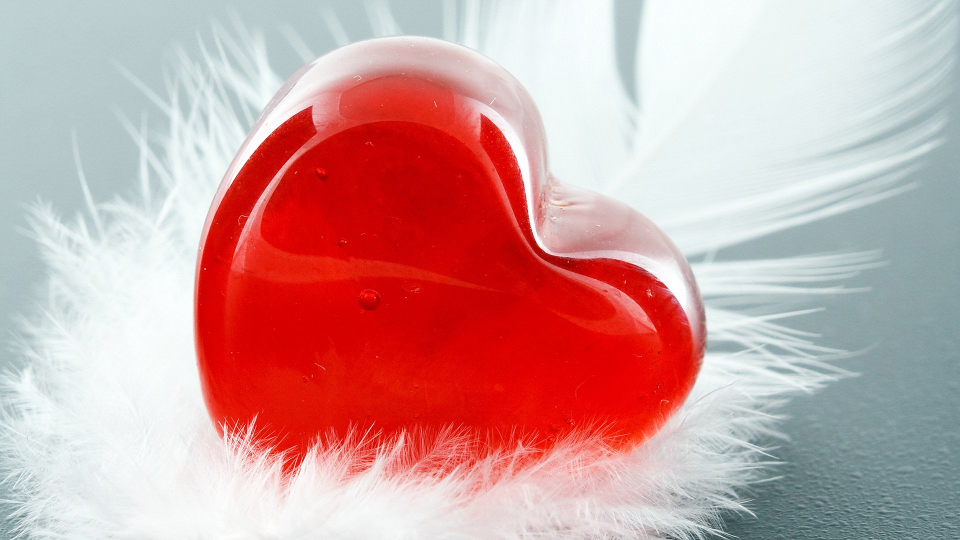 coeur rouge plume blanc