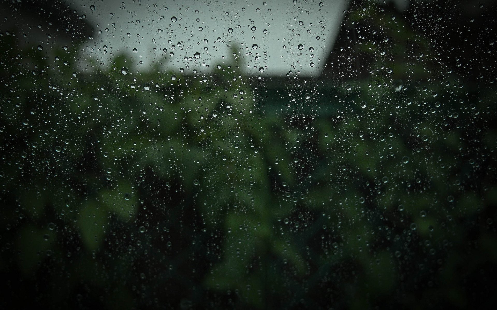 drops rain glass close up