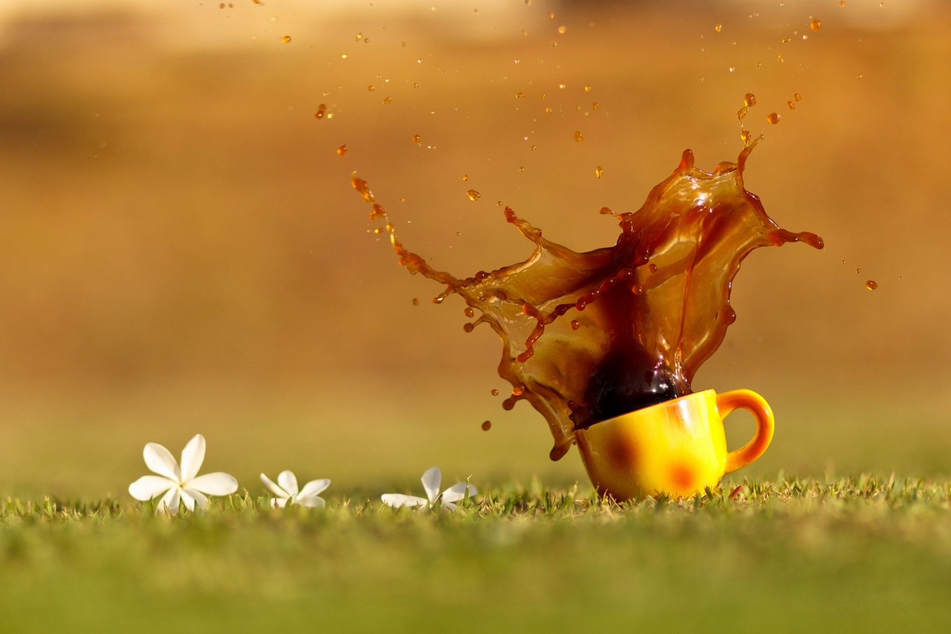 taza naranja bebida té café salpicaduras gotas hierba flores