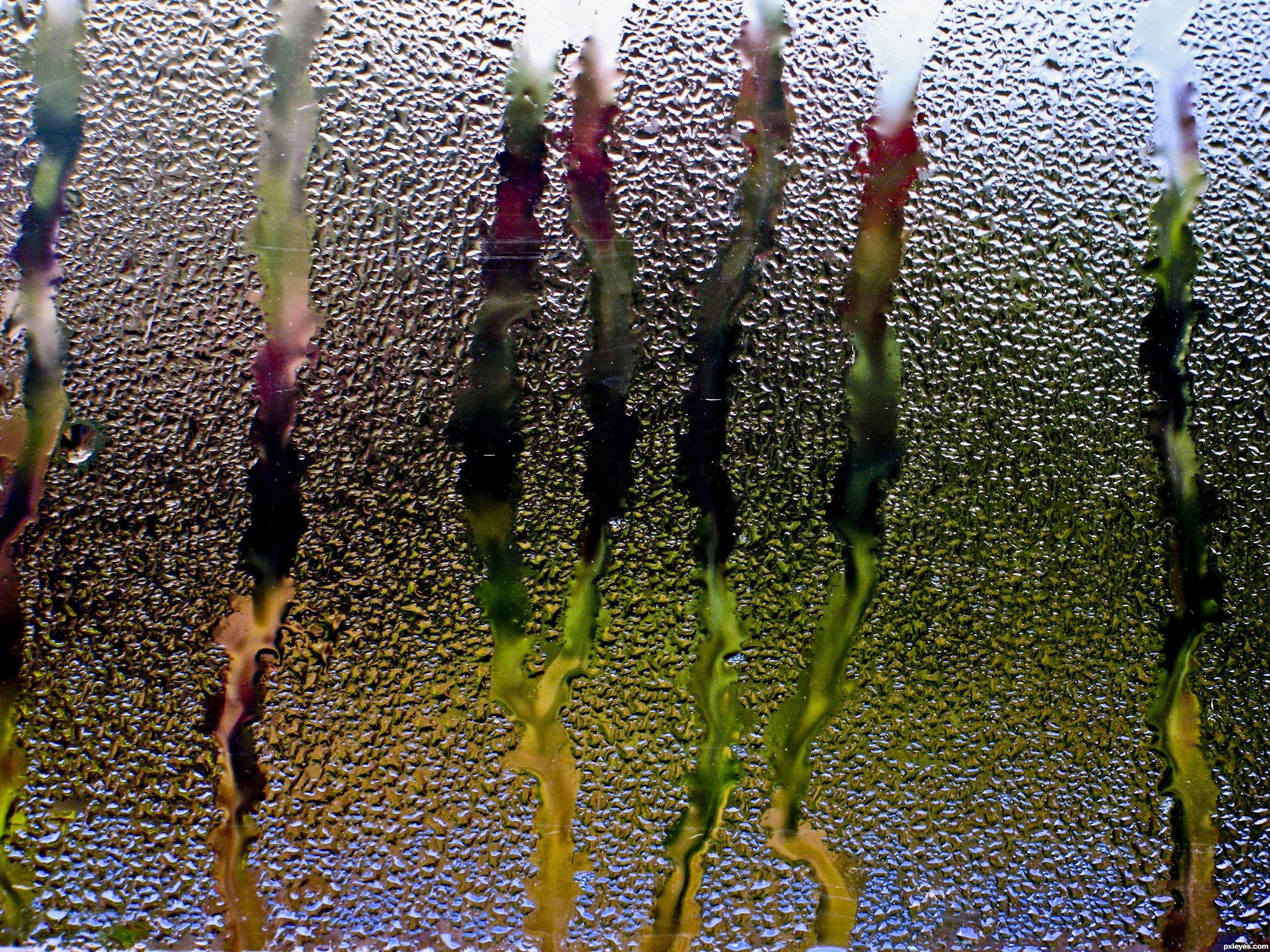 lluvia vidrio ventana agua gotas corrientes