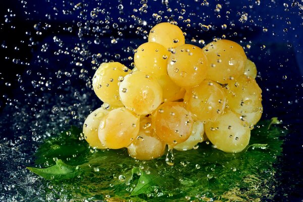 Un racimo de uvas con gotas en él