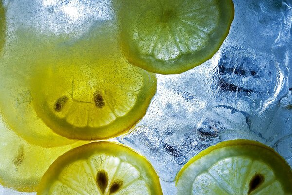 Pieces of citrus fruits with ice cubes