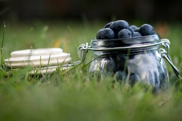 A jar of blueberries. Macro photography