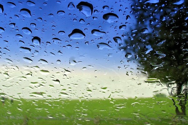 Macro shooting glass after rain