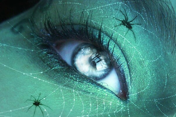 Occhio della ragazza su uno sfondo di pelle verde con ragnatele e ragni su di esso