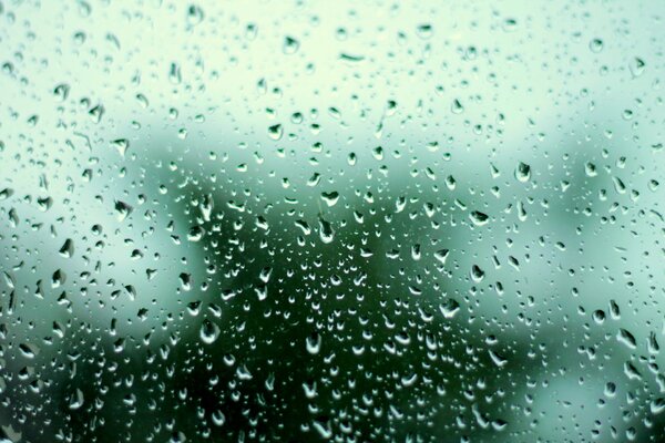 Gotas de agua en el vidrio después de la lluvia