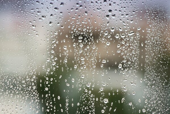 Verre avec des gouttes par temps de pluie