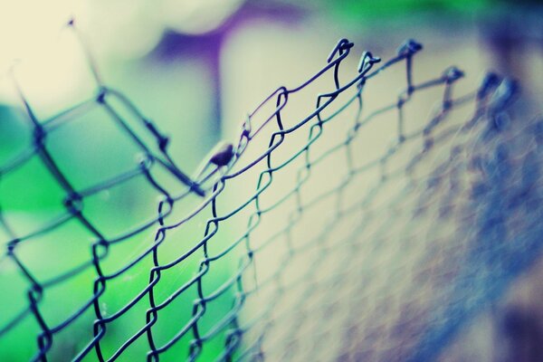 Green Fence mesh