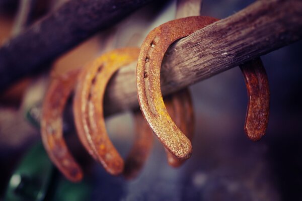 Macro shot of horseshoes on a stick