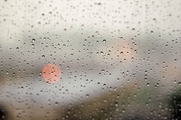 Raindrops on the glass