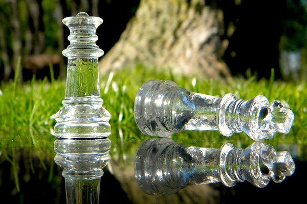 Pièces d échecs en verre sur fond de nature