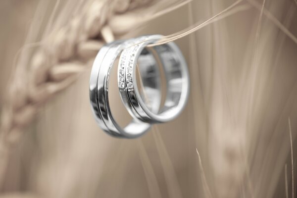 Серебряные кольца весят на колоске
