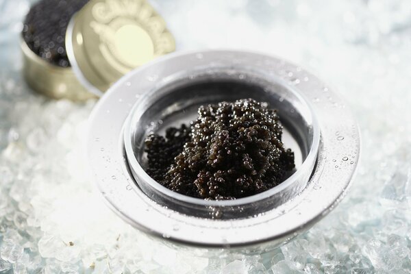 In the caviar bowl, a delicious yum yum of black caviar