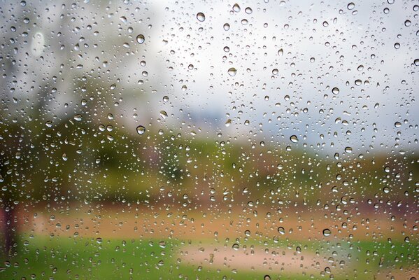Gouttes de pluie sur verre transparent