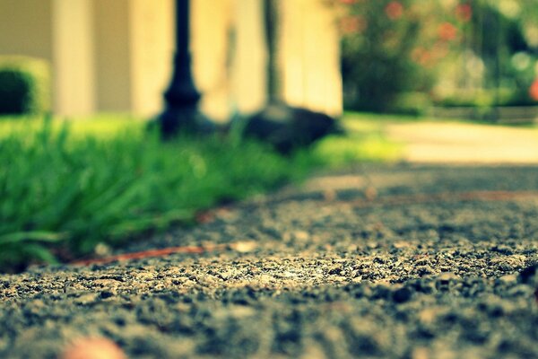 Background wallpaper of a green meadow with an asphalt road and stones on a macro