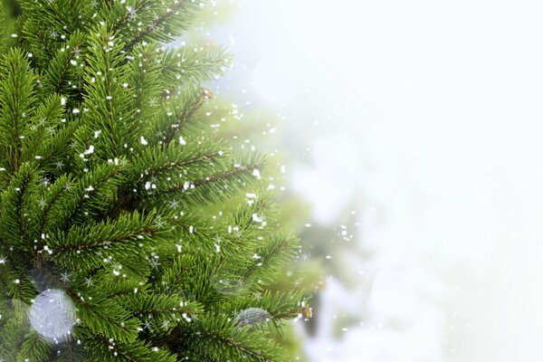 Hiver, arbre de Noël, neige-humeur du nouvel an