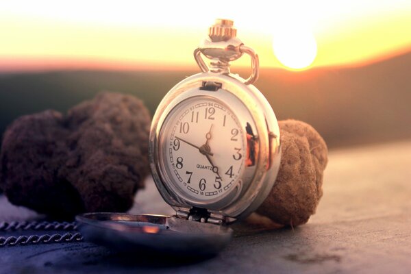 Taschenuhr mit Zifferblatt und Kette auf der Oberfläche neben Trüffelpilzen und Sonne