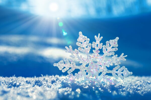 Schneeflocken in hellem Licht