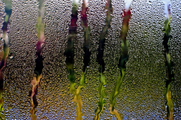 Des gouttes de pluie coulent sur le verre