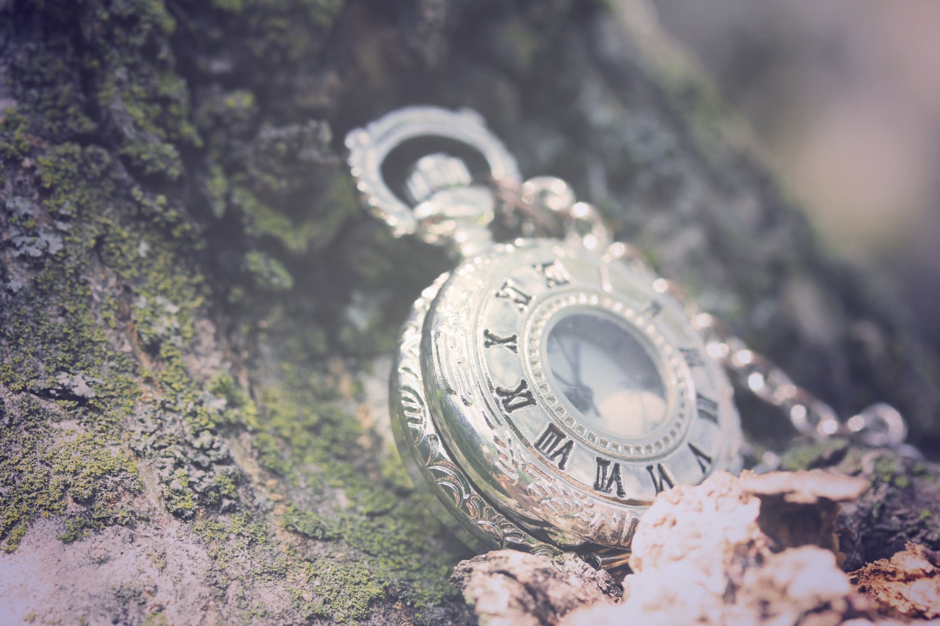 macro horloge chaîne fond pierres feuilles chiffres romains verdure