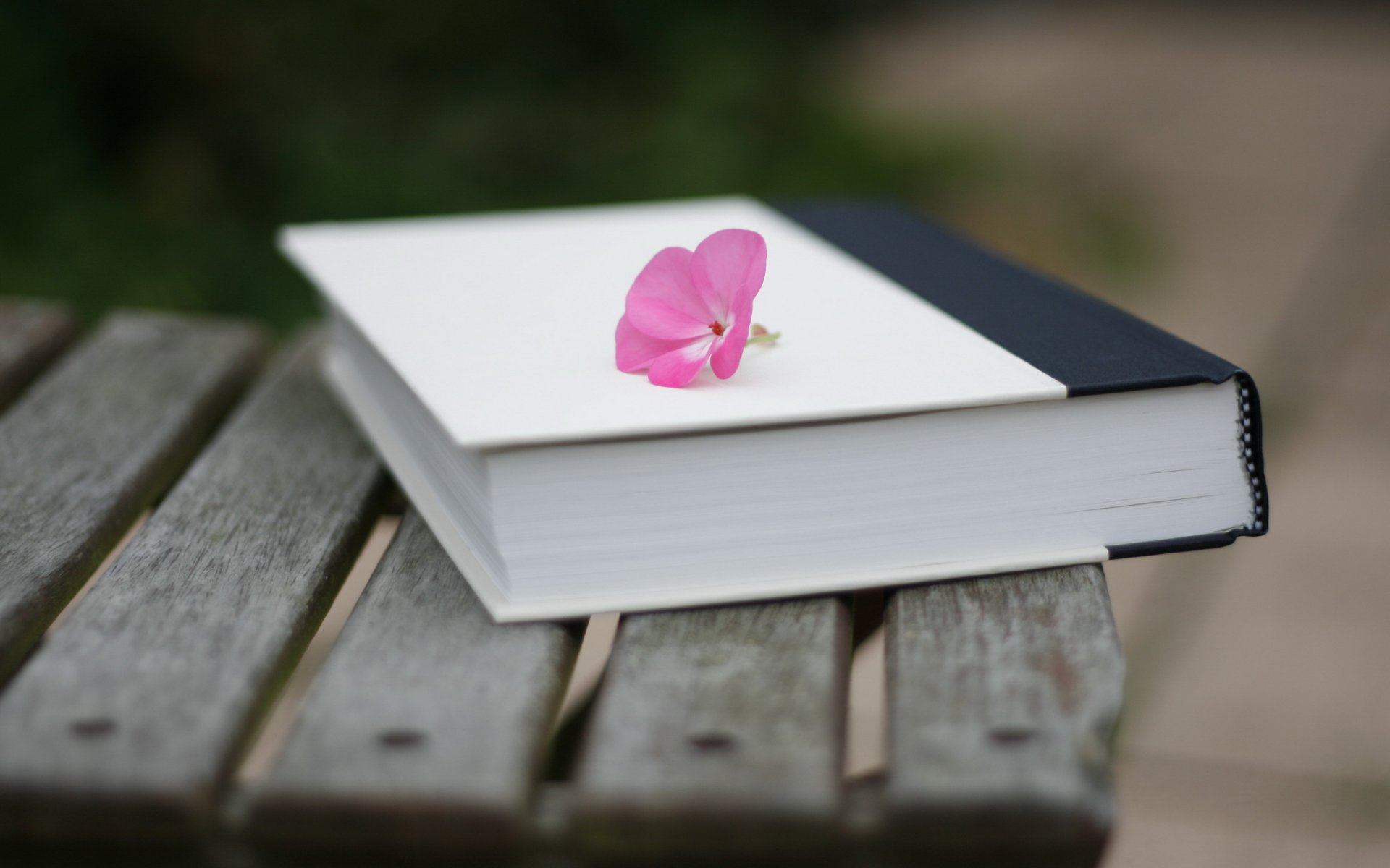 book flower close up