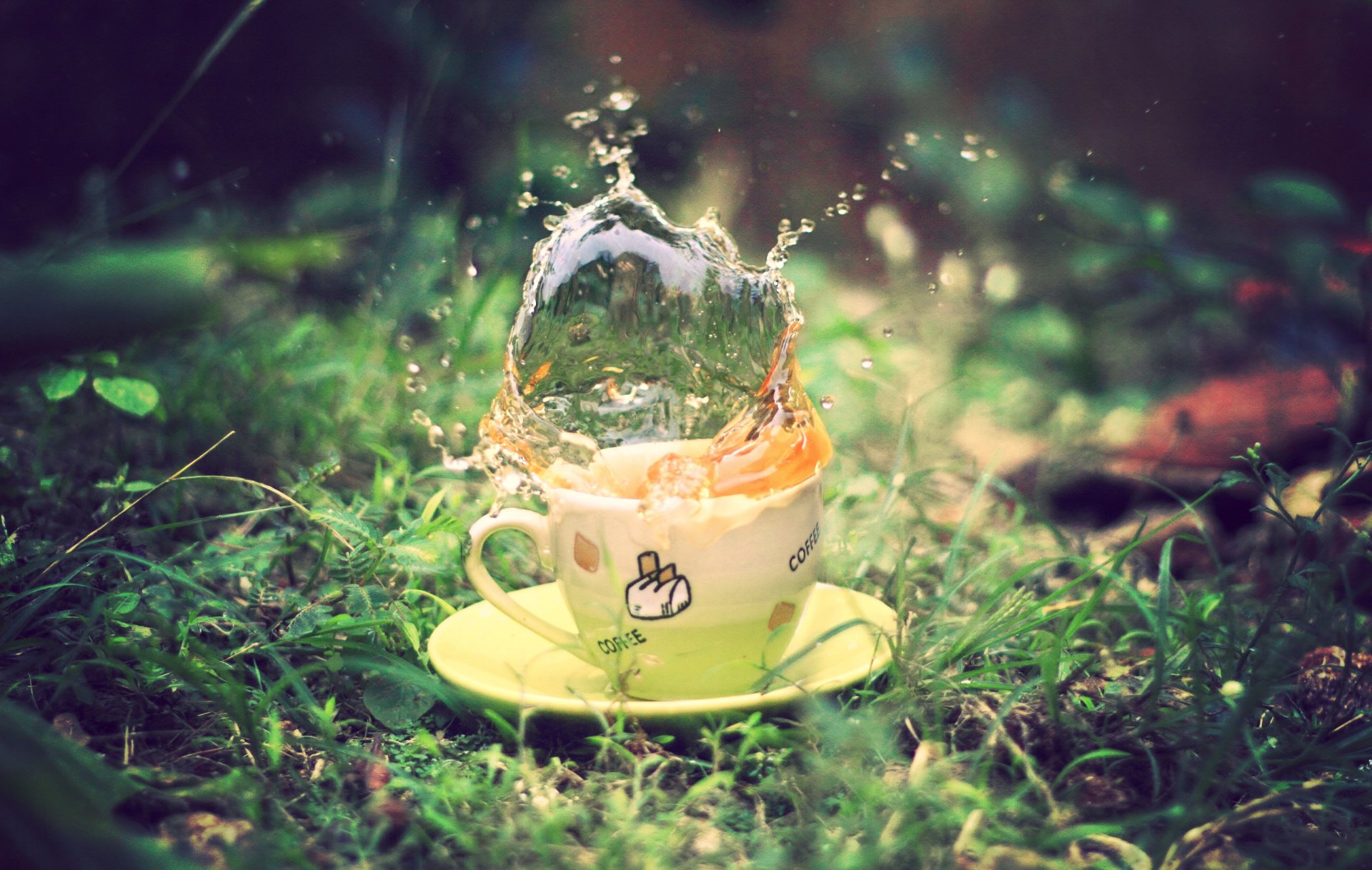 cup saucer tea spray grass greenery green earth summer macro