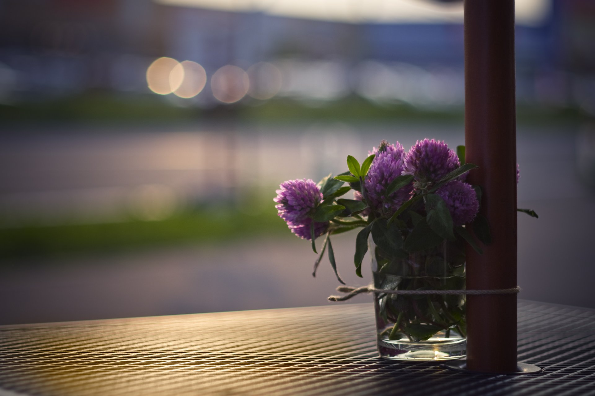 klee blumenstrauß blumen glas tisch straße licht blendung makro